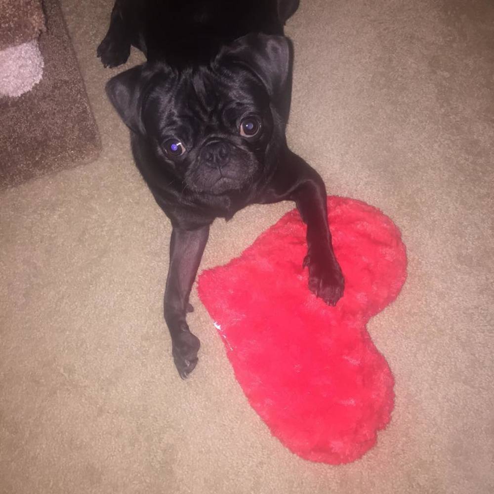 Meet your Posher, Renee